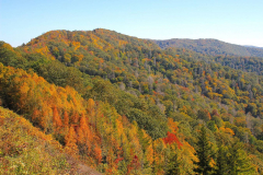 USA, North Carolina, Great Smoky Mountains Nationalpark
