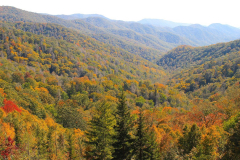 USA, North Carolina, Great Smoky Mountains Nationalpark