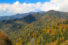 USA, North Carolina, Great Smoky Mountains Nationalpark