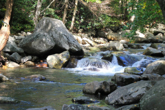 USA, North Carolina, Great Smoky Mountains Nationalpark