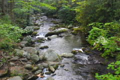 USA, North Carolina, Great Smoky Mountains Nationalpark