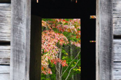 USA, North Carolina, Great Smoky Mountains Nationalpark