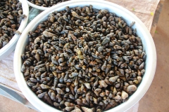 Laos, Vang Vieng, Auf dem Markt