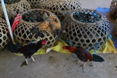 Laos, Vang Vieng, Auf dem Markt