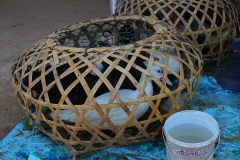Laos, Vang Vieng, Auf dem Markt