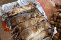 Laos, Vang Vieng, Auf dem Markt, Bambusratten