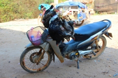 Laos, Vang Vieng, Auf dem Markt