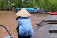 Mekong-Delta